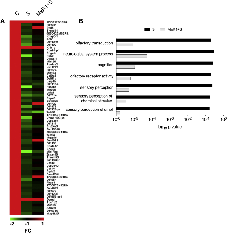 Supplementary Fig S1