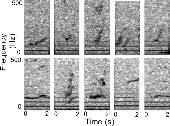 Figure 7