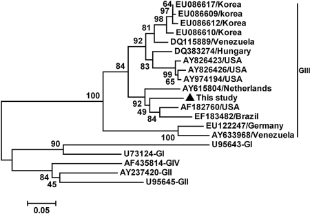 FIG. 1.