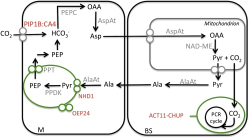 Figure 4.