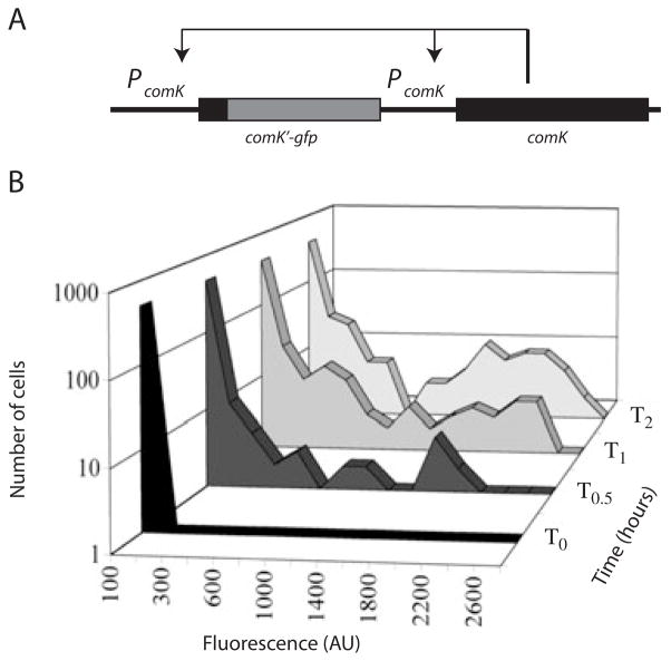 Fig. 2