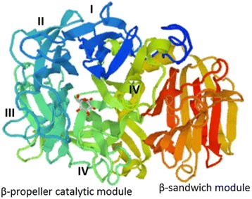 Fig. 3