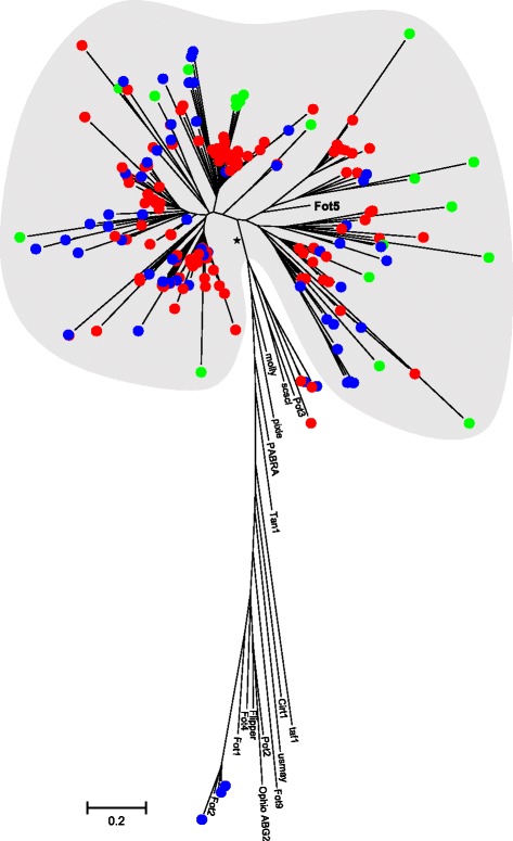 Fig. 7