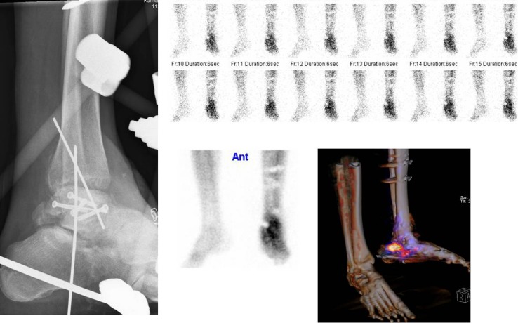 Fig. 7