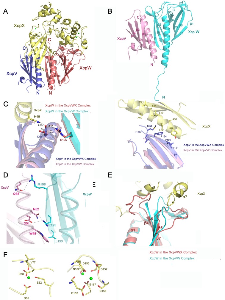 Fig 1