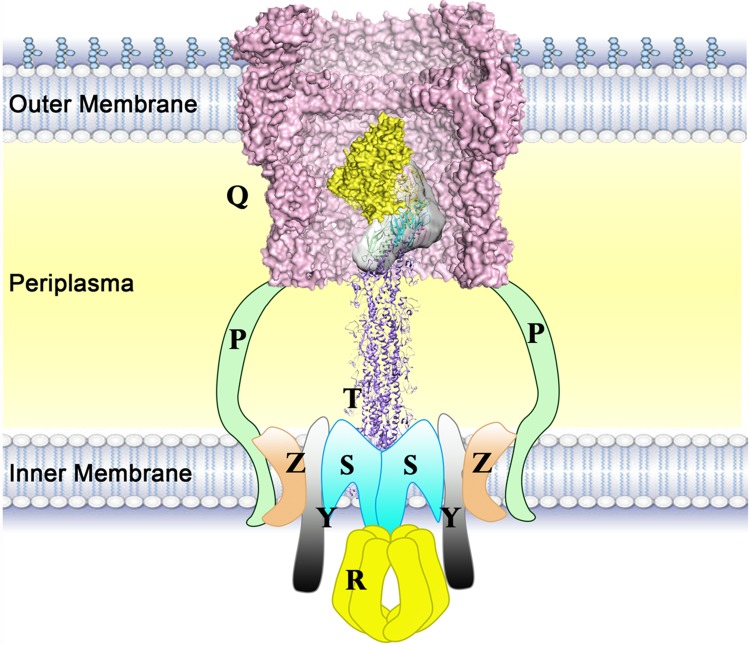 Fig 7