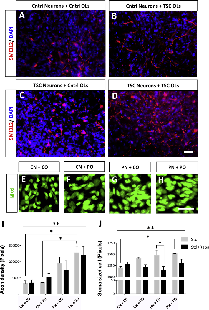 Figure 4