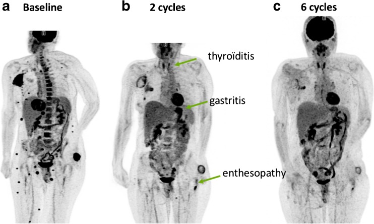 Fig. 5