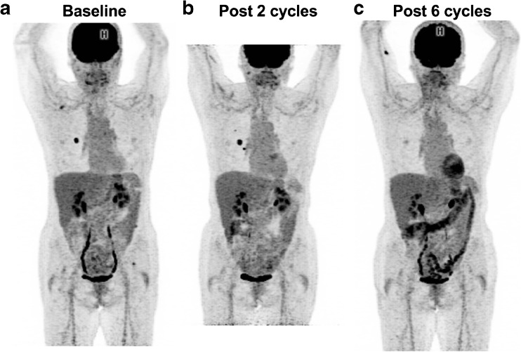 Fig. 2