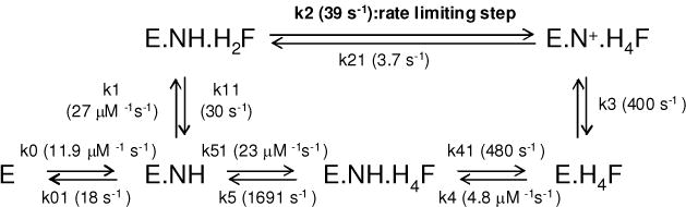 Scheme 2