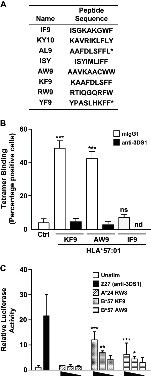 FIG 6