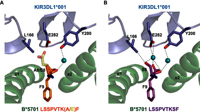 FIG 1