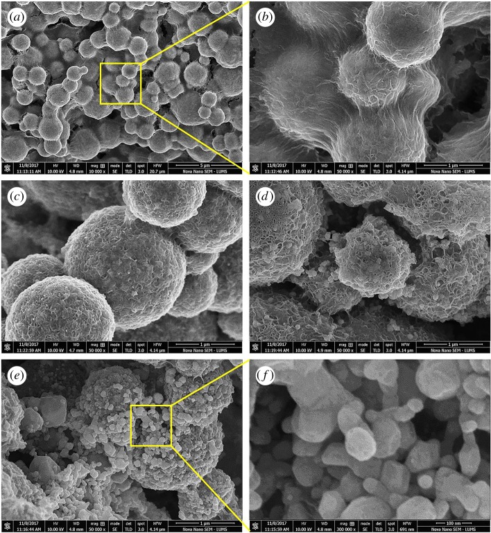 Figure 4.