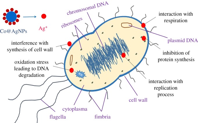 Figure 9.