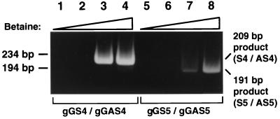 FIG. 1