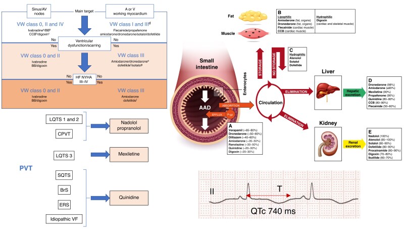 Graphical Abstract
