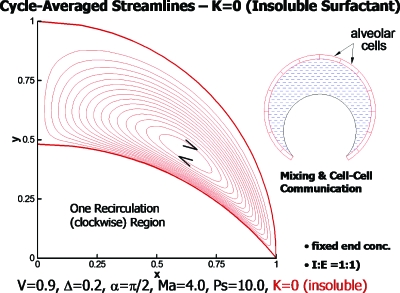 Figure 24