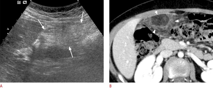 Fig. 20.