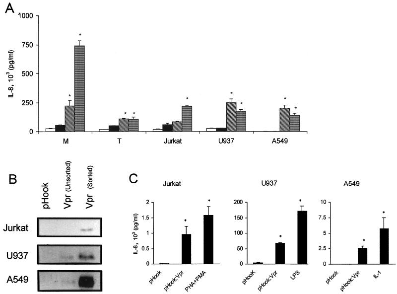 FIG. 1