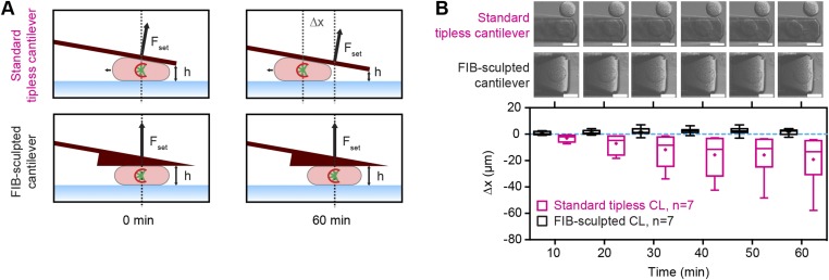 Fig. S3.