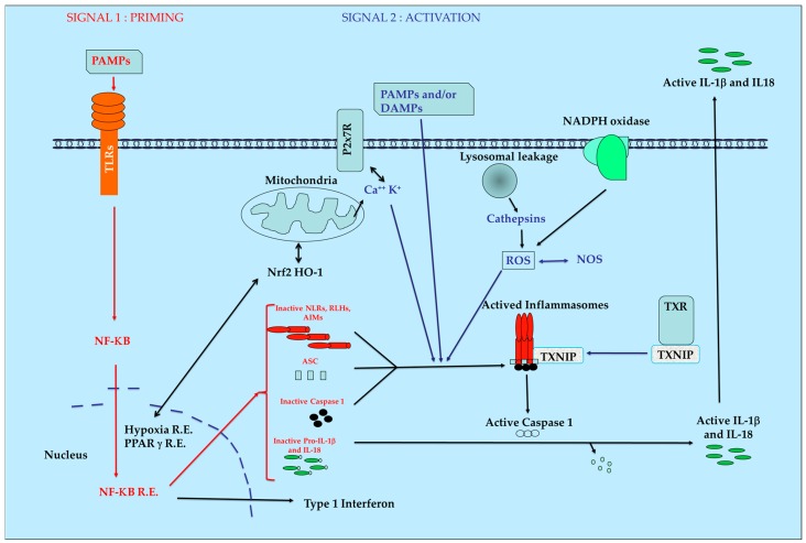 Figure 1