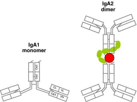 Fig. 1