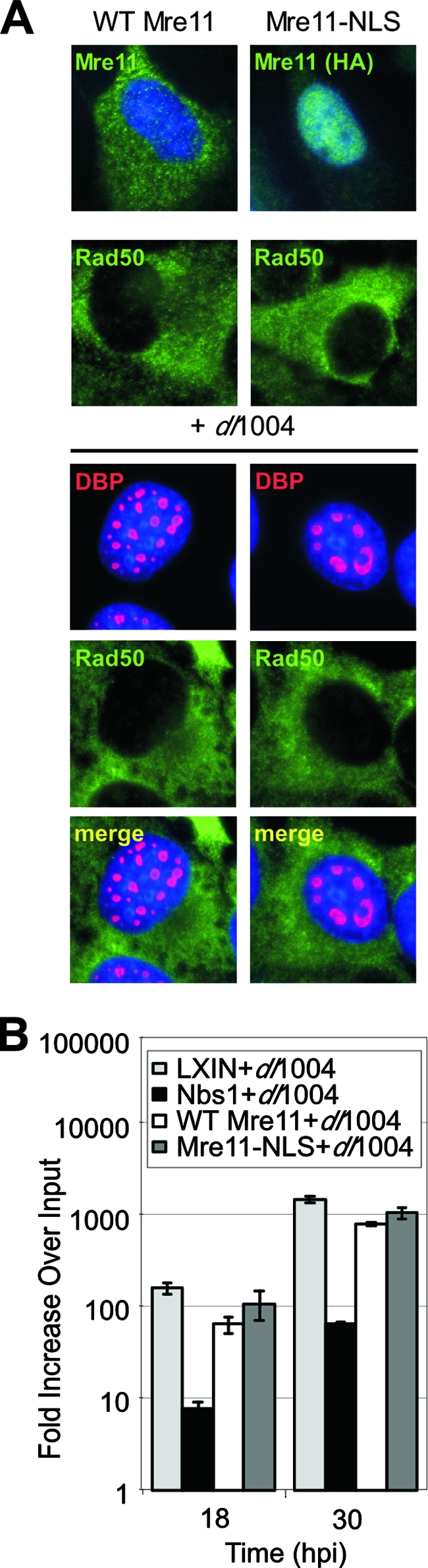 FIG. 6.