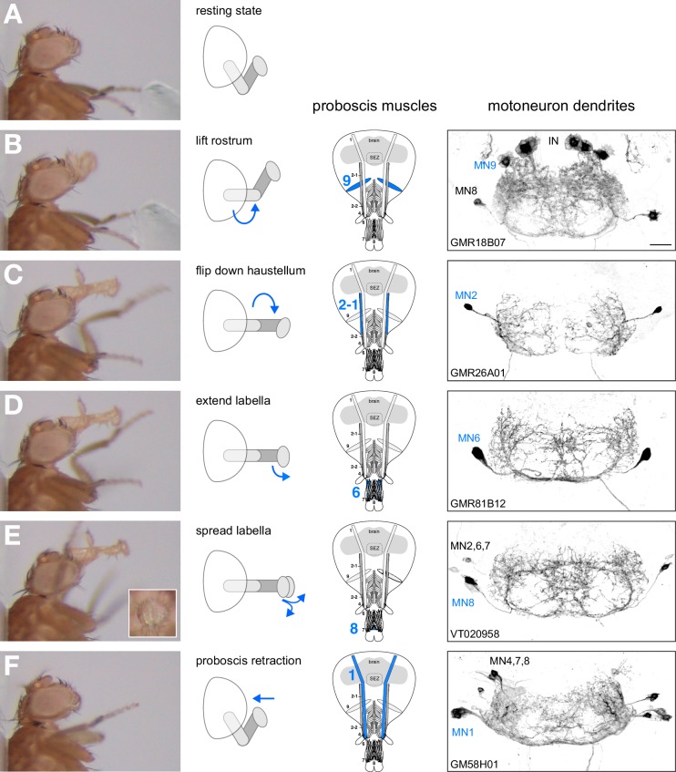 Figure 10.