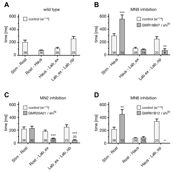 Figure 5—figure supplement 1.