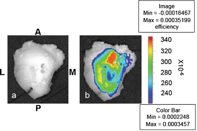 Fig. 3.