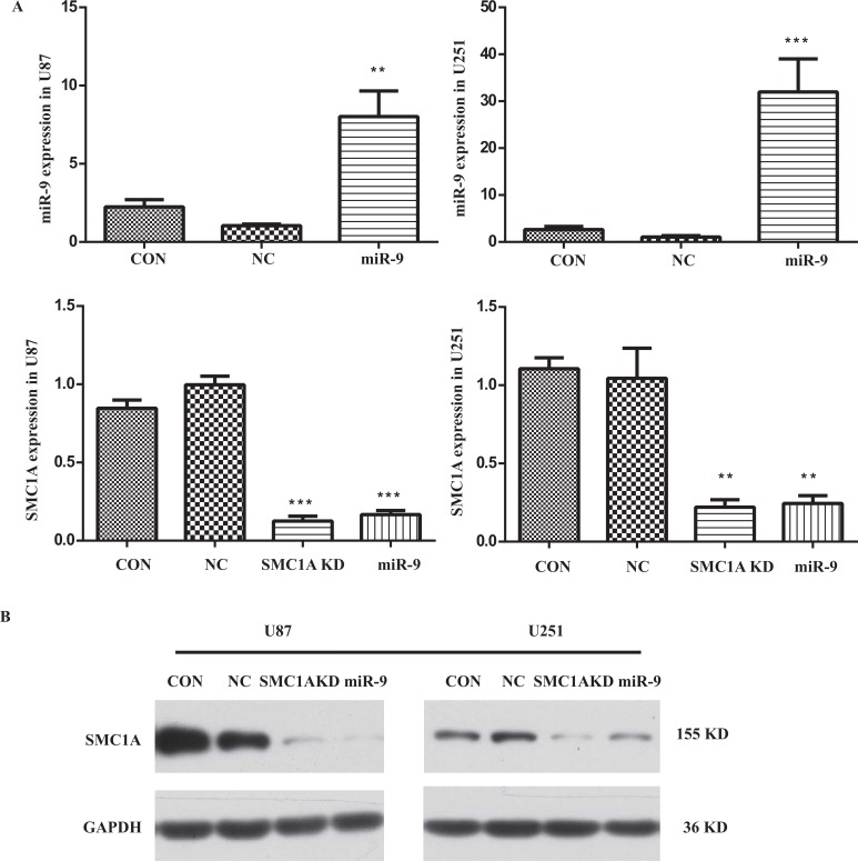 Fig. (2)