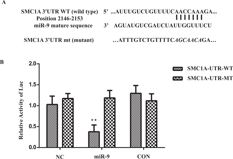 Fig. (5)