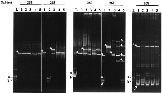 FIG. 2.