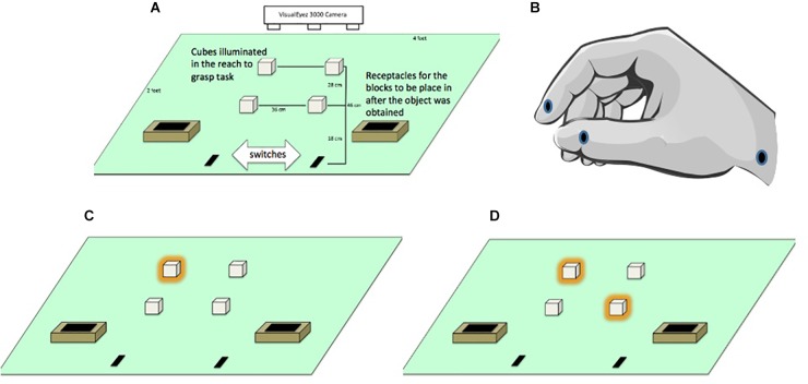 FIGURE 1