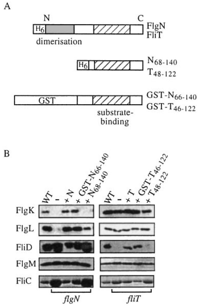 Fig. 5