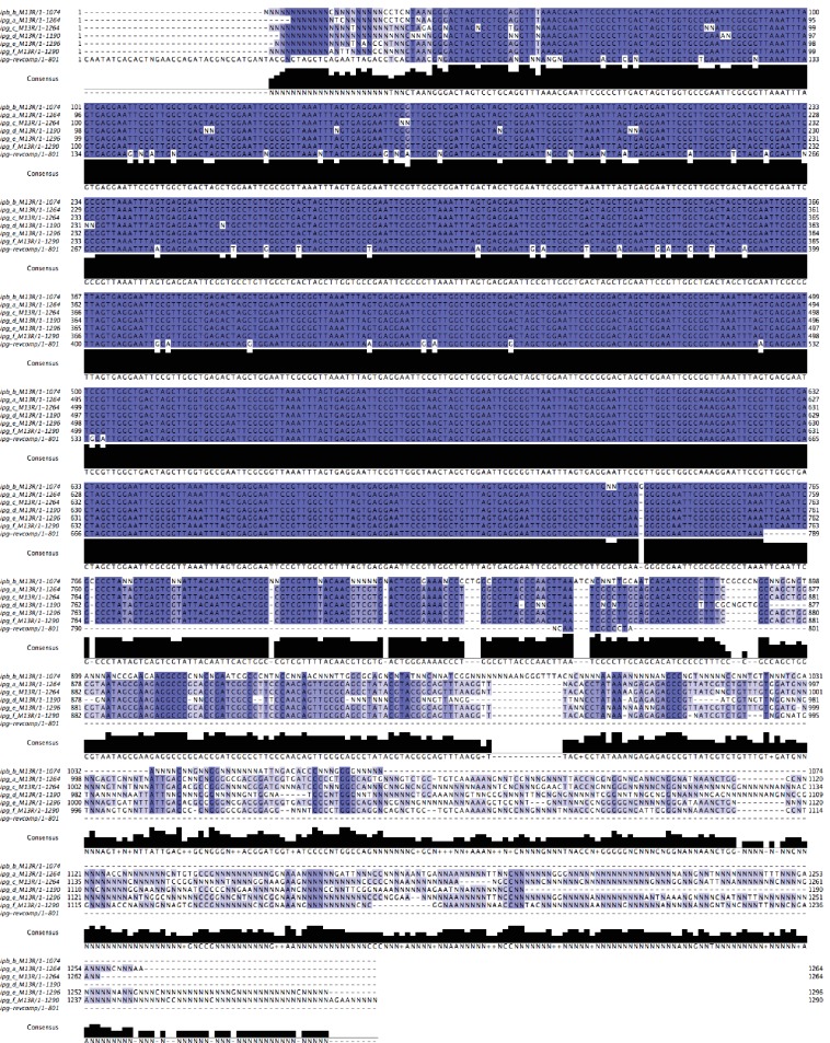 Figure 5—figure supplement 2.