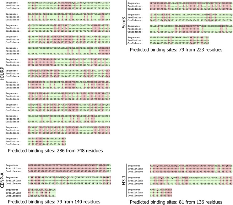 Figure 4—figure supplement 2.