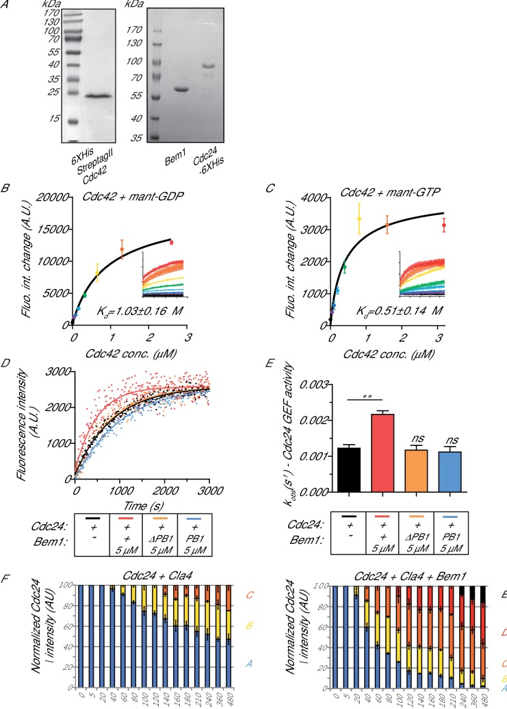 Figure 1—figure supplement 1.