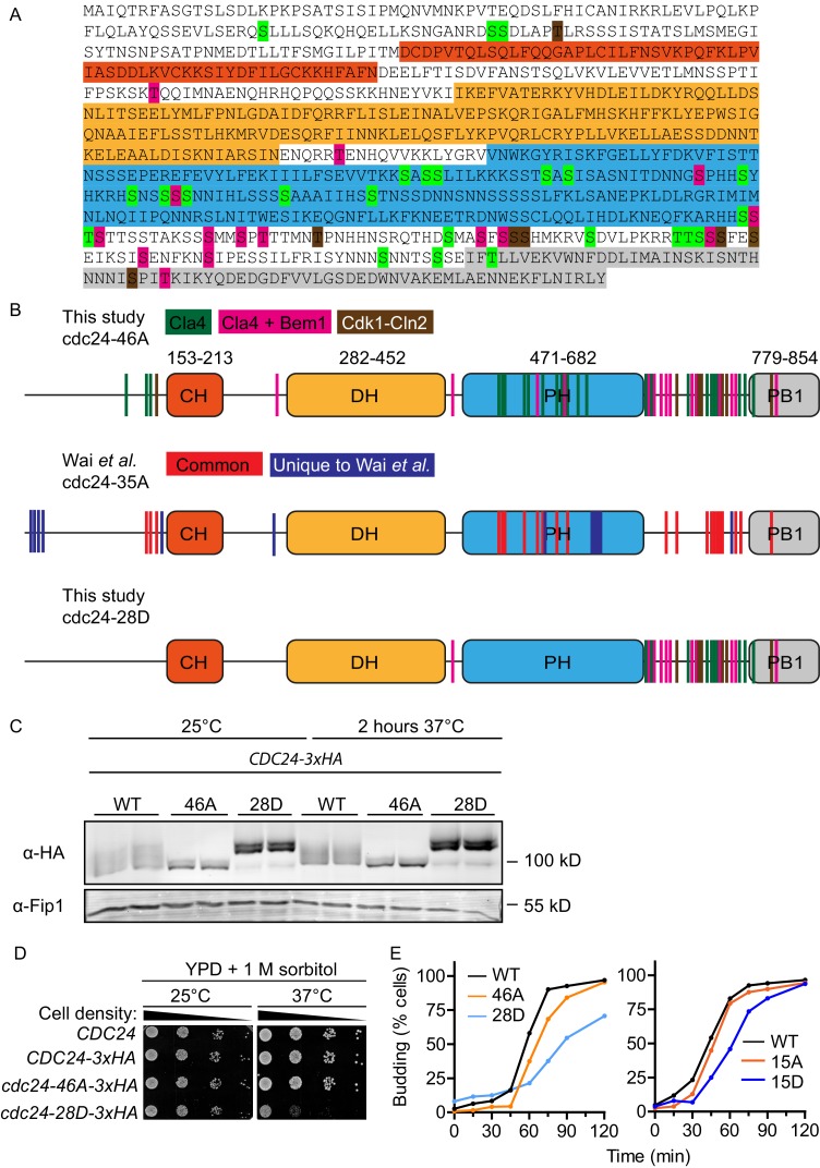 Figure 2—figure supplement 1.