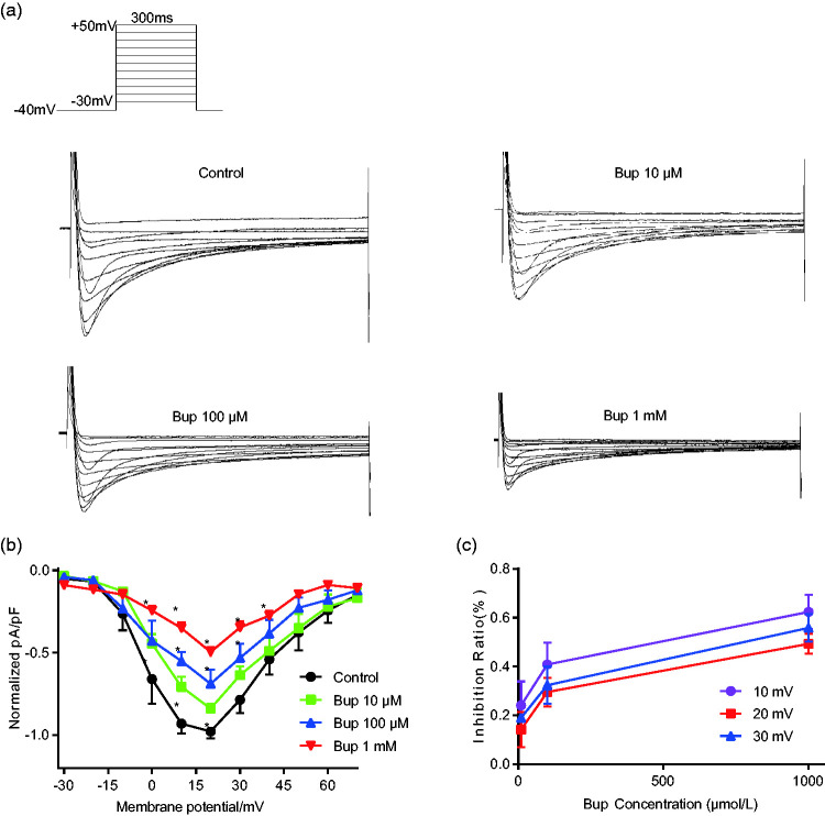 Figure 2.