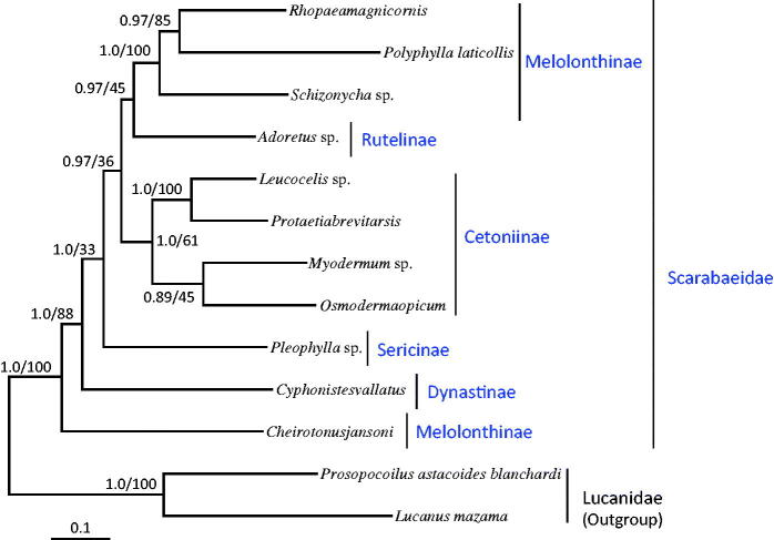 Figure 1.