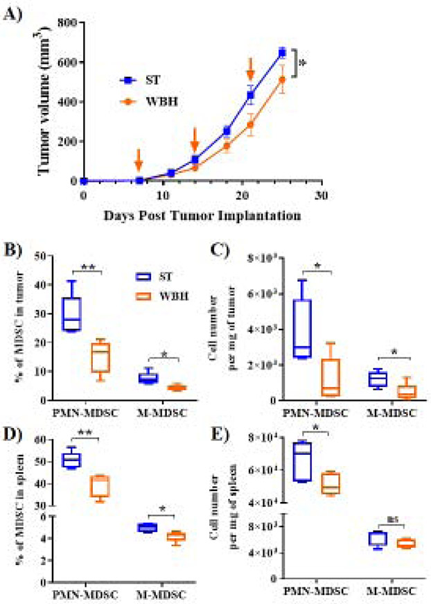 Figure 3)