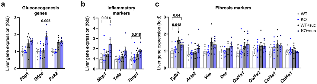 Extended Data Fig. 6 |