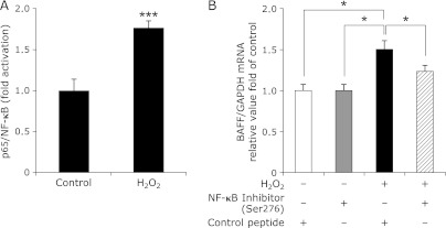 Fig. 5