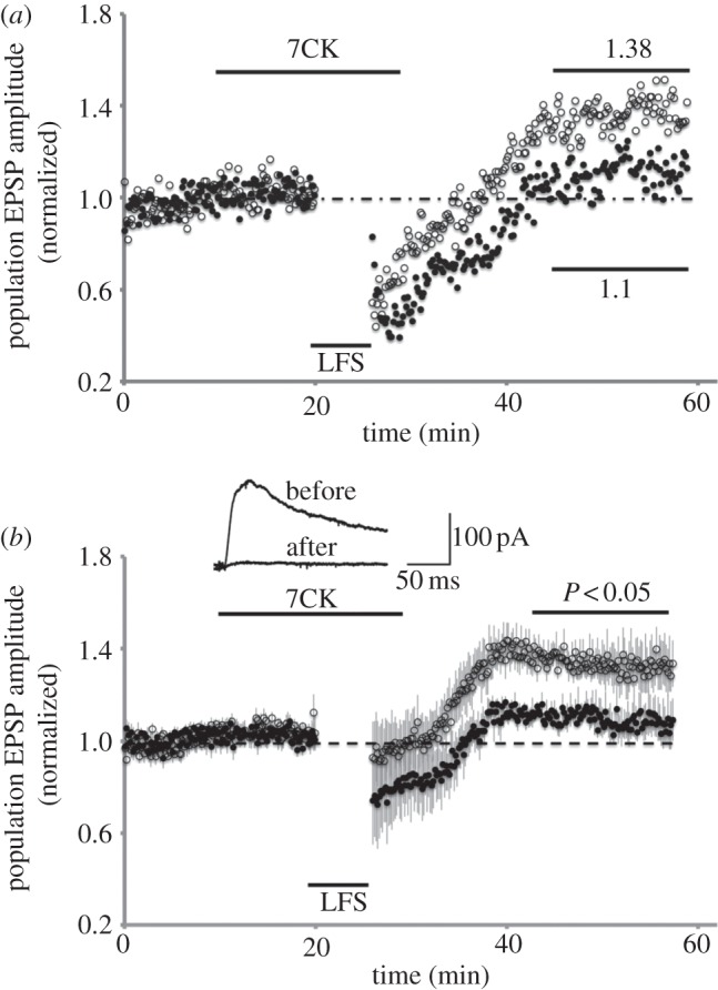 Figure 3.