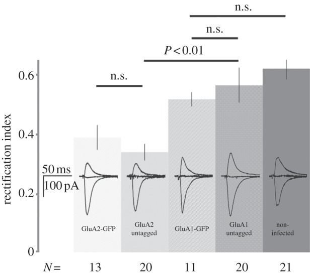 Figure 1.