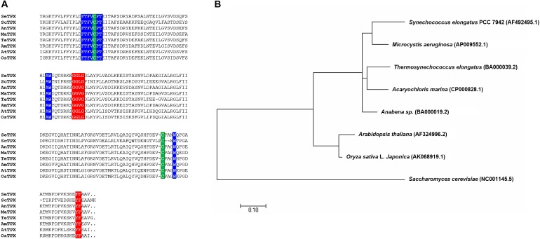 FIGURE 2