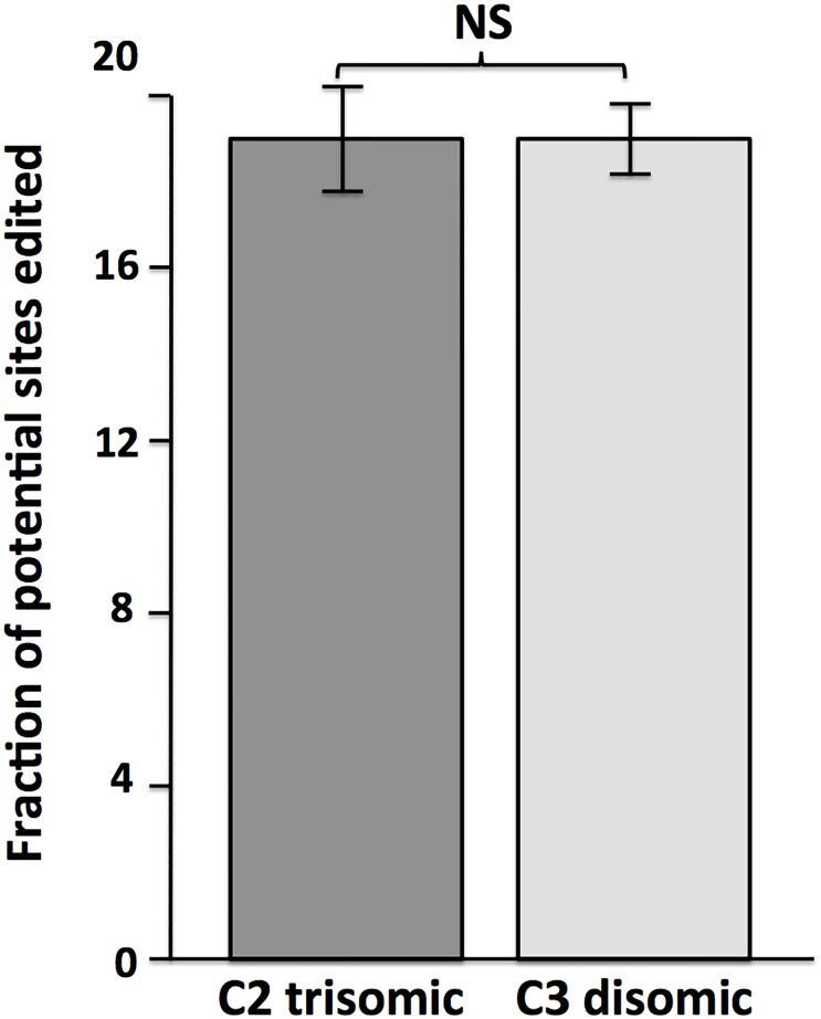 Fig 5