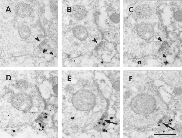 Fig. 9.