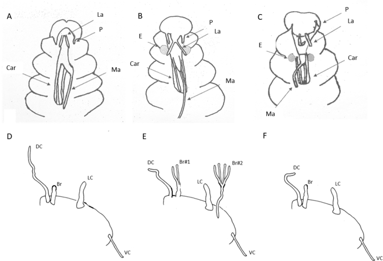 Figure 15.